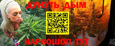 Альфа ПВП Сланцы