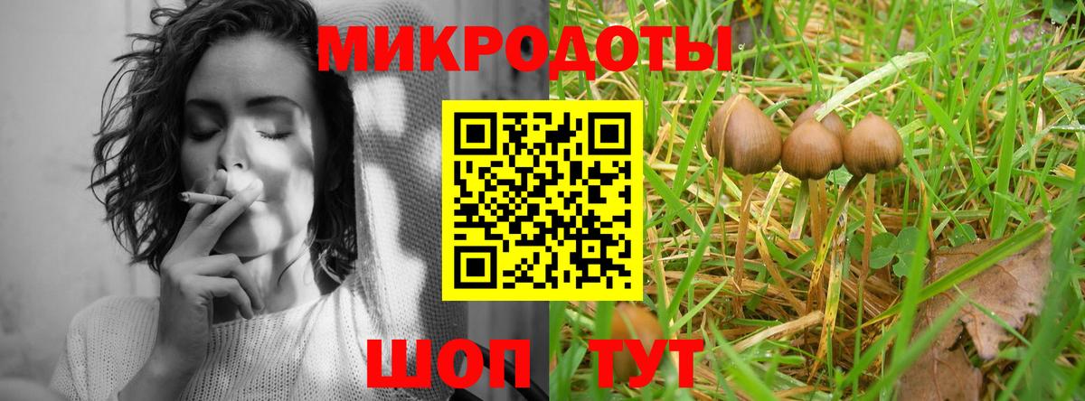 Псилоцибиновые грибы Psilocybine cubensis Бийск