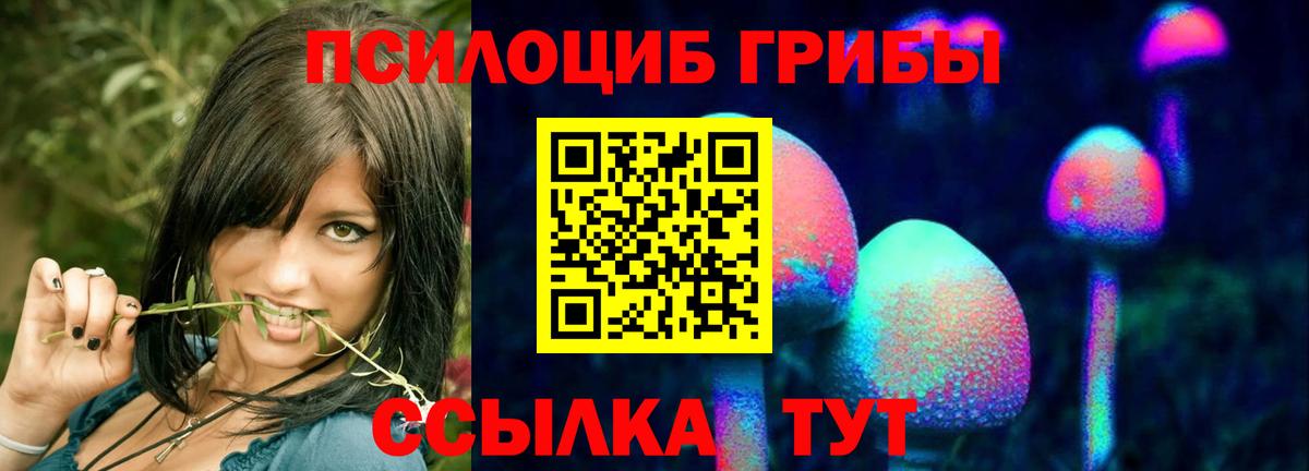 Бийск  Галлюциногенные грибы прущие грибы  Галлюциногенные грибы мицелий  Вход с VPN 